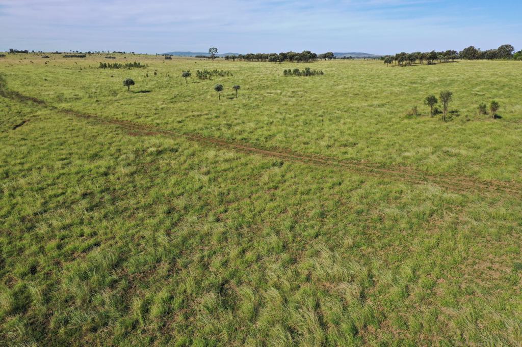 564 Orallo Rd, Roma, QLD 4455