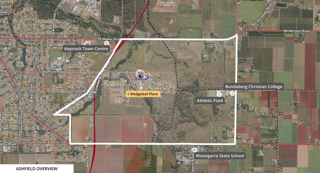 1 Wedgeleaf Pl, Ashfield, QLD 4670