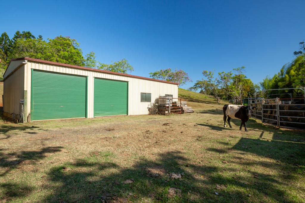 788 Millaa Millaa Malanda Rd, Minbun, QLD 4886