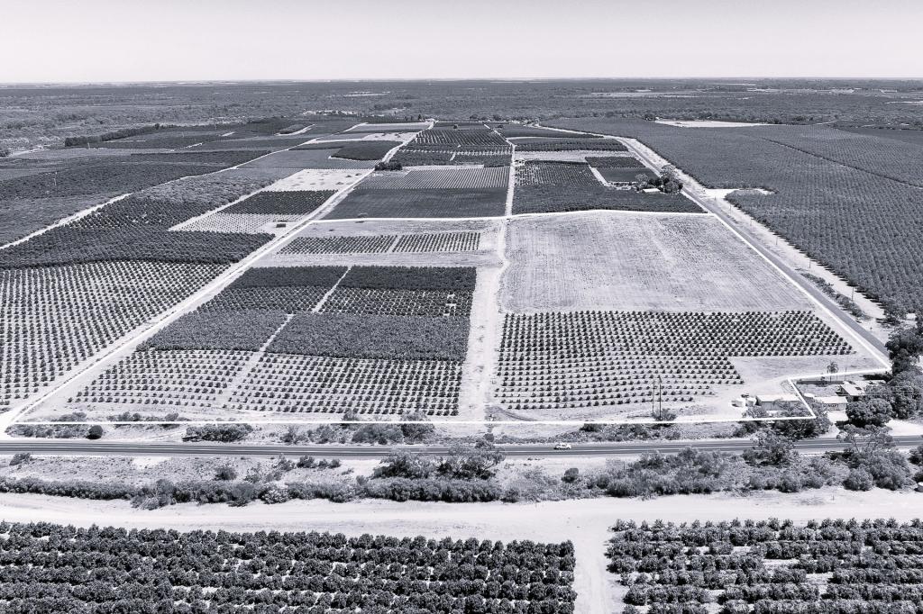 183 Quast Rd, Bookpurnong, SA 5333