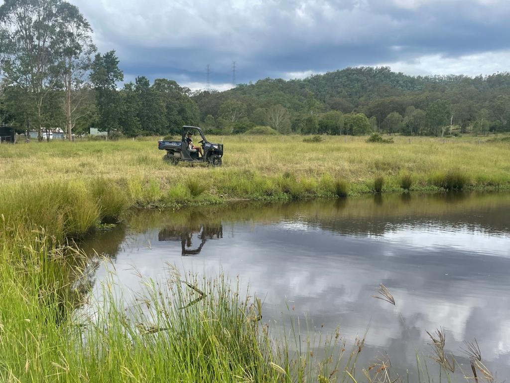 Contact agent for address, DUNDAS, QLD 4306