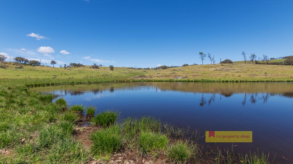 479 Wallawaugh Rd, Hargraves, NSW 2850