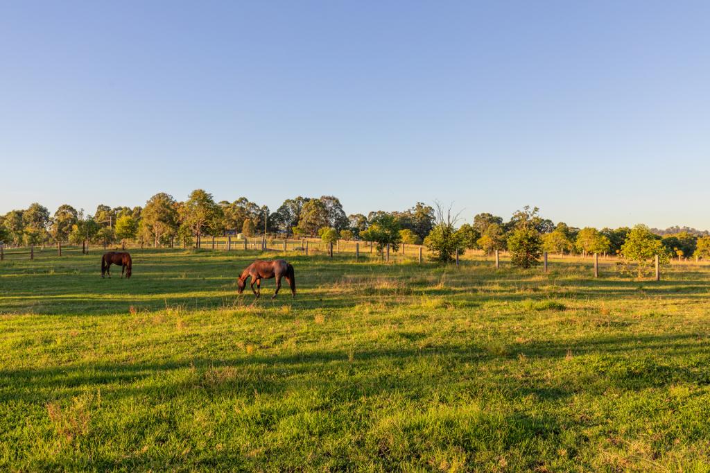 98 Torryburn Rd, Torryburn, NSW 2421