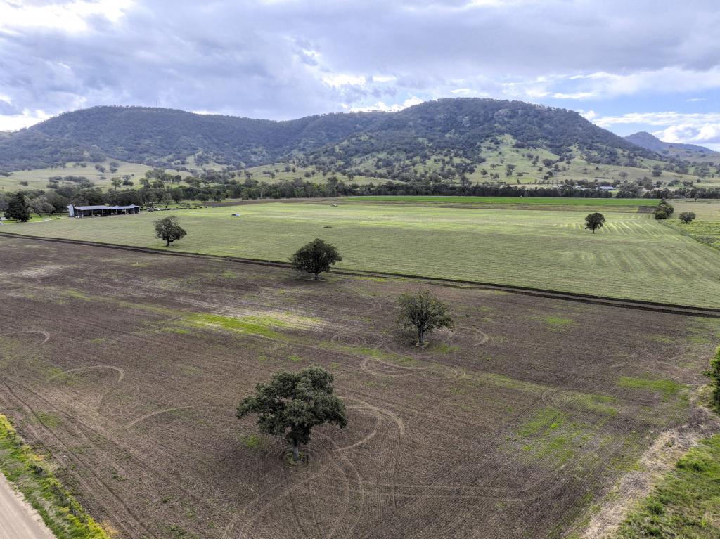 Contact Agent For Address, Segenhoe, NSW 2337