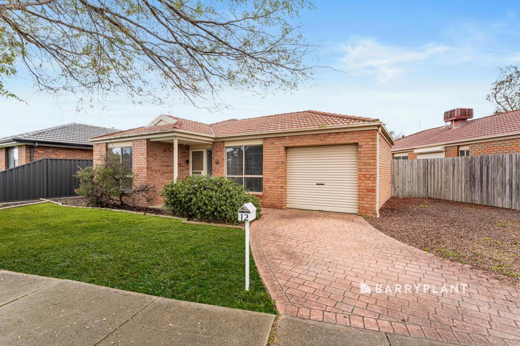 12 Pentland Dr, Narre Warren, VIC 3805