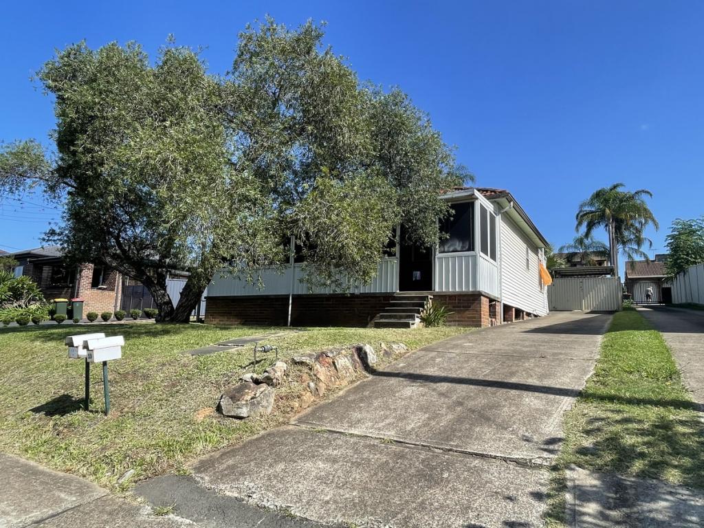 59 Metella Rd, Toongabbie, NSW 2146