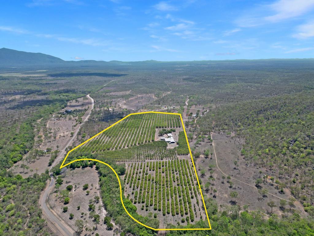 184 Dingo Park Rd, Woodstock, QLD 4816