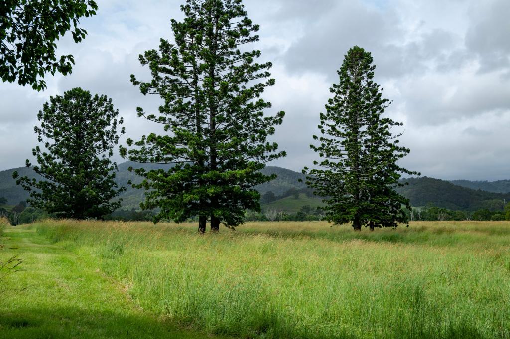 43 Cutmore Rd E, Obi Obi, QLD 4574