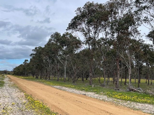 Martup Downs, Leggoe Road, Beaufort River, WA 6394