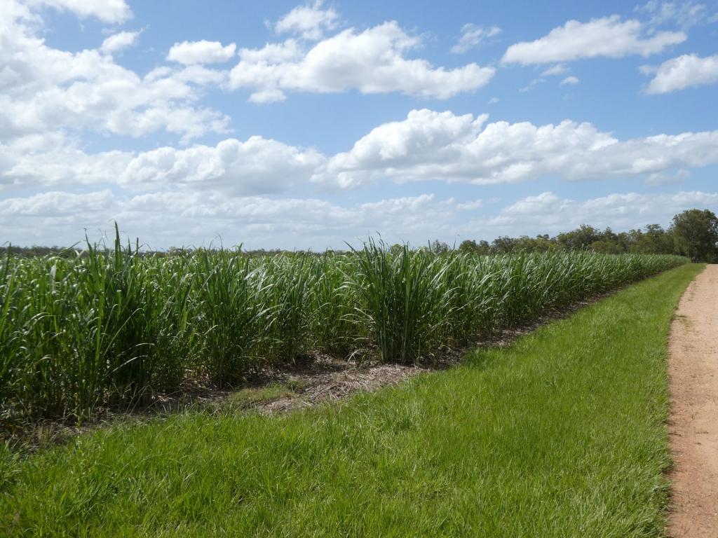 3392 CHILDERS RD, GREGORY RIVER, QLD 4660