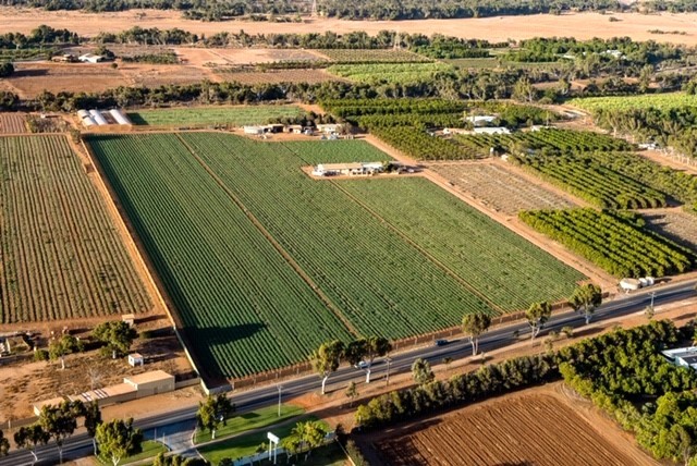 563 & 561 Robinson St, Carnarvon, WA 6701