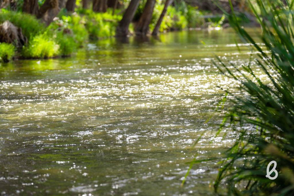 1064d Middle Falbrook Rd, Singleton, NSW 2330