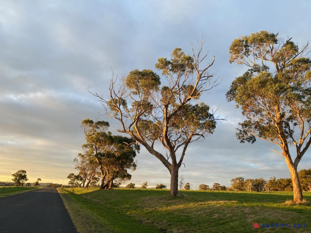 Majestic Vsta, Wattle Bank, VIC 3995