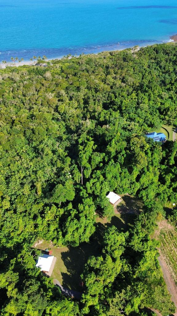 Lot 4 Cape Tribulation Rd, Cape Tribulation, QLD 4873