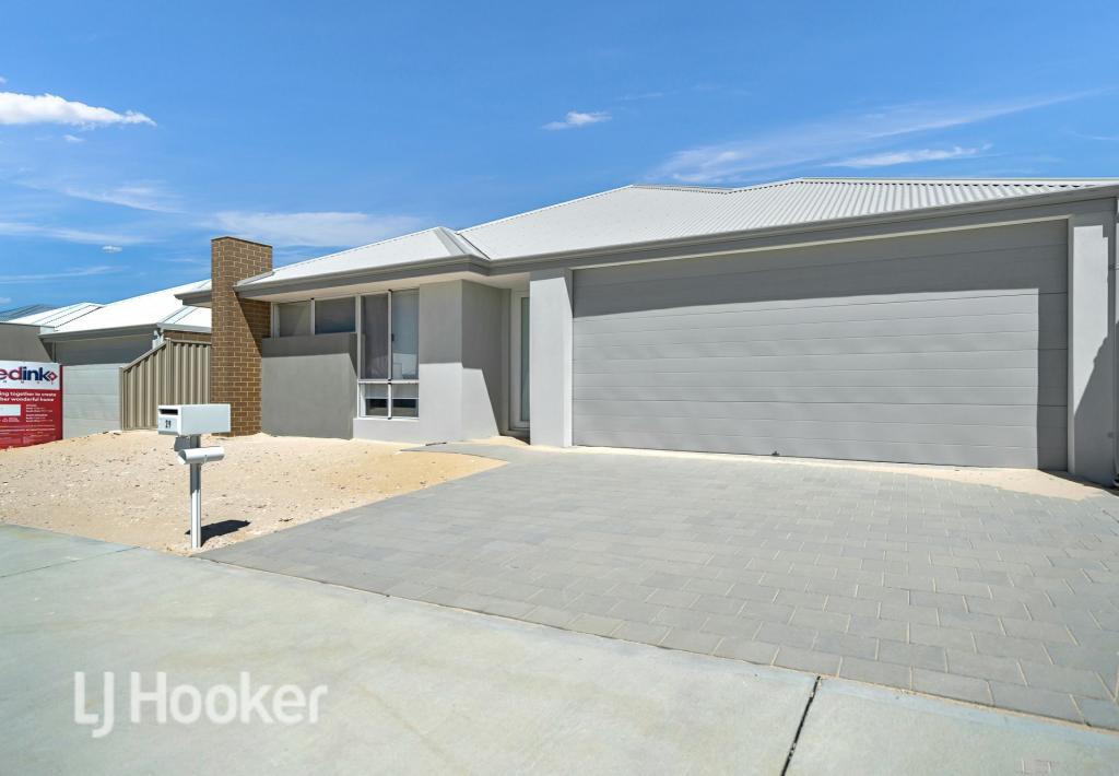 29 Mayflower Ave, Alkimos, WA 6038