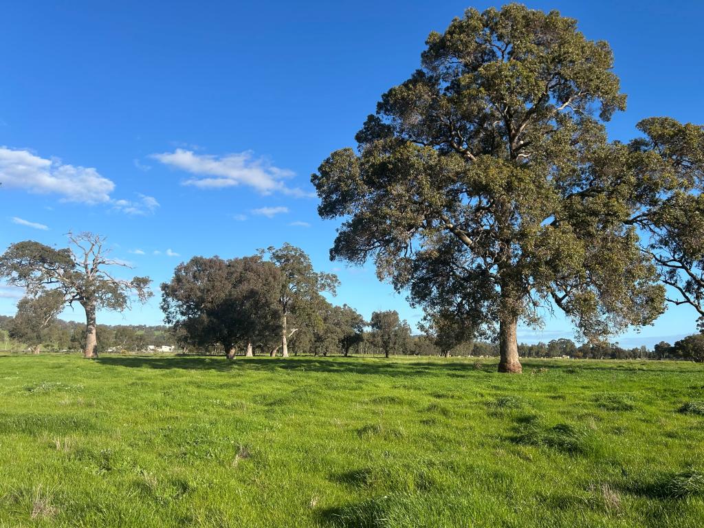 LOT 50 HOCART RD, WOKALUP, WA 6221
