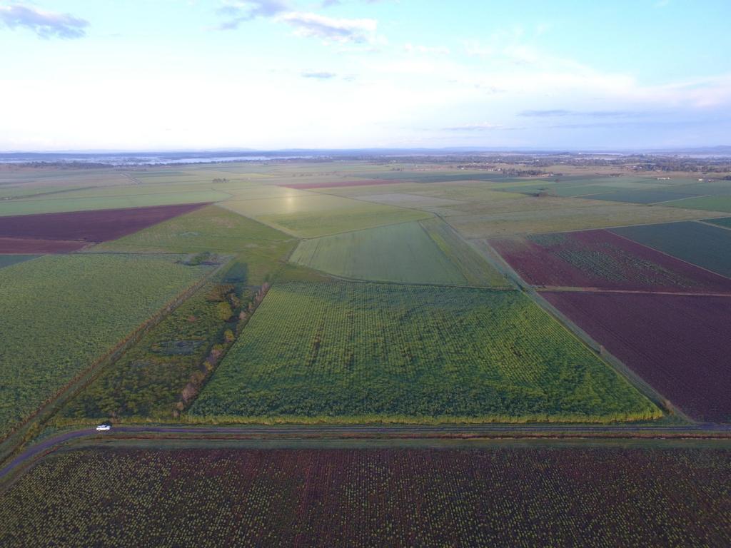 159 Mcbrien Rd, East Coraki, NSW 2471