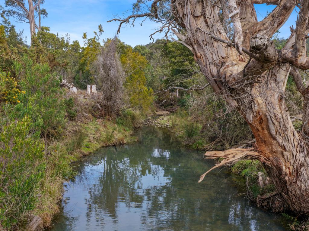 Lot 9/524 Rosedale Rd, Bicheno, TAS 7215