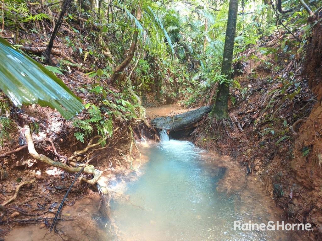 Lot 11 Milky Pine Road, Kimberley, Daintree, QLD 4873