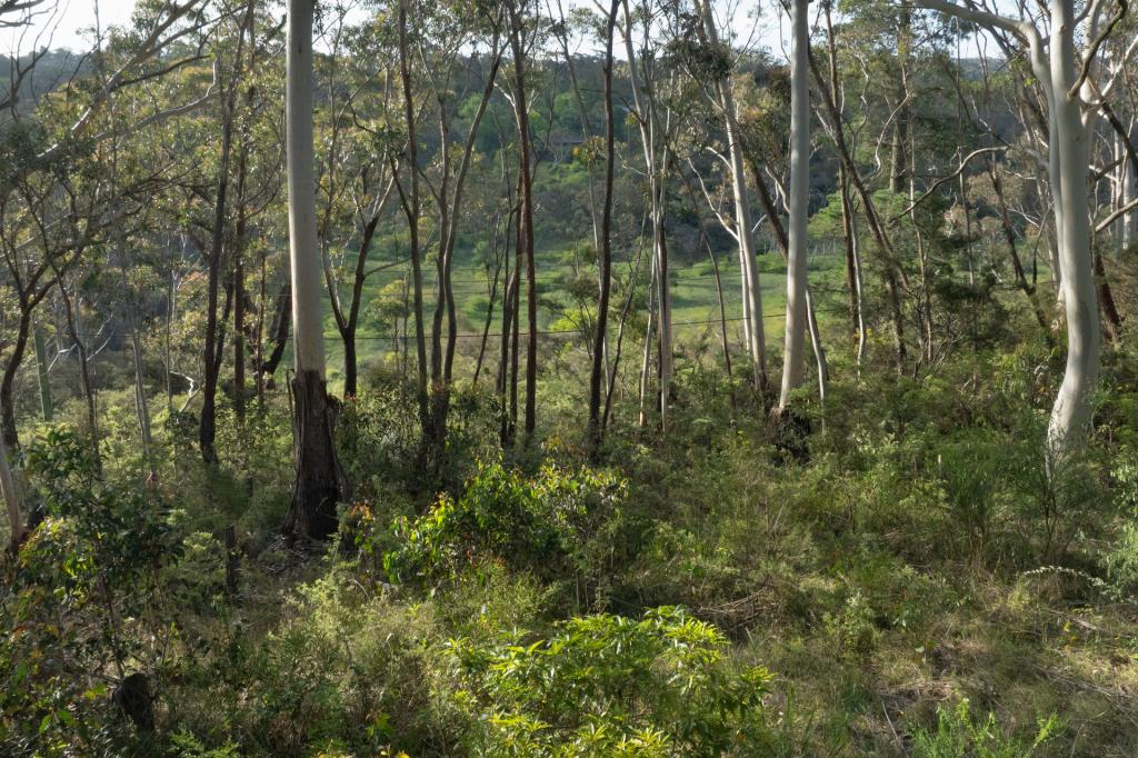 6 ALMA LANE, KATOOMBA, NSW 2780