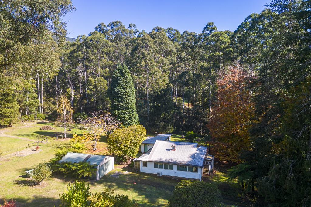 220 Big Pats Creek Rd, Big Pats Creek, VIC 3799