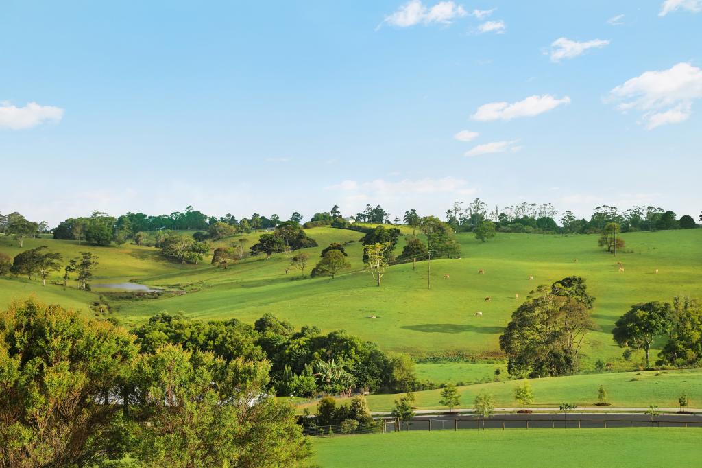 25 Mahogany Pl, Maleny, QLD 4552
