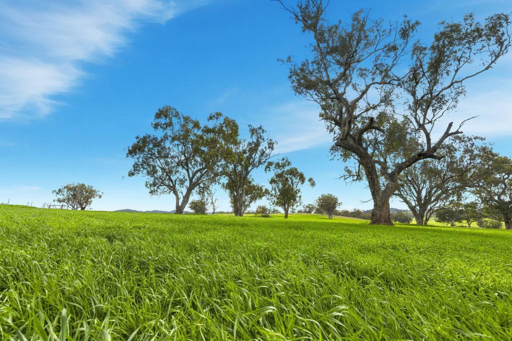 9091 MITCHELL HWY, WELLINGTON, NSW 2820