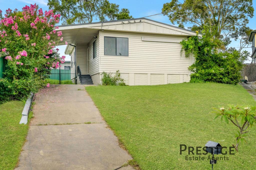 12 Nundle St, Smithfield, NSW 2164