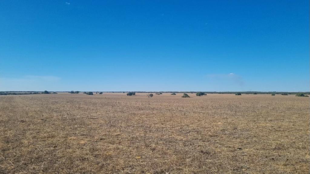 10054 Dawson Touche Rd, Carnamah, WA 6517