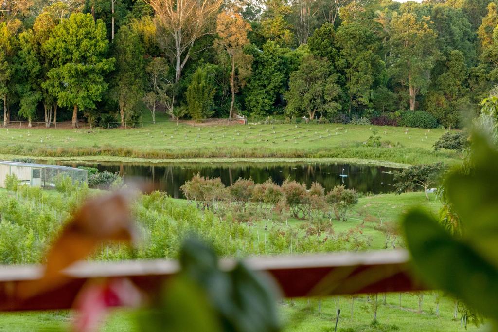 69 Cooke Rd, Witta, QLD 4552