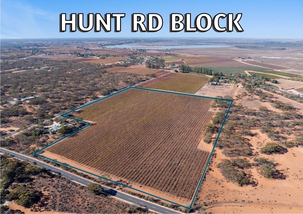 277a Winkie Rd, Winkie, SA 5343