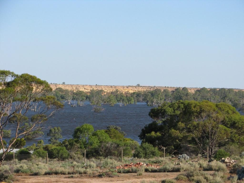 Lot 1000 Merivale St, Blanchetown, SA 5357