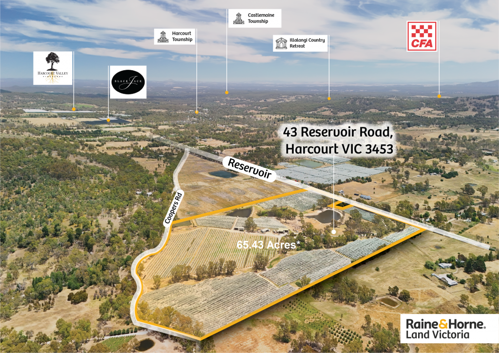 43 Reservoir Rd, Harcourt, VIC 3453