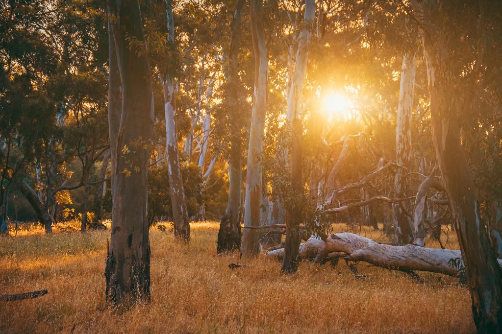 Lot 35 Preston River Rise, Boyanup, WA 6237