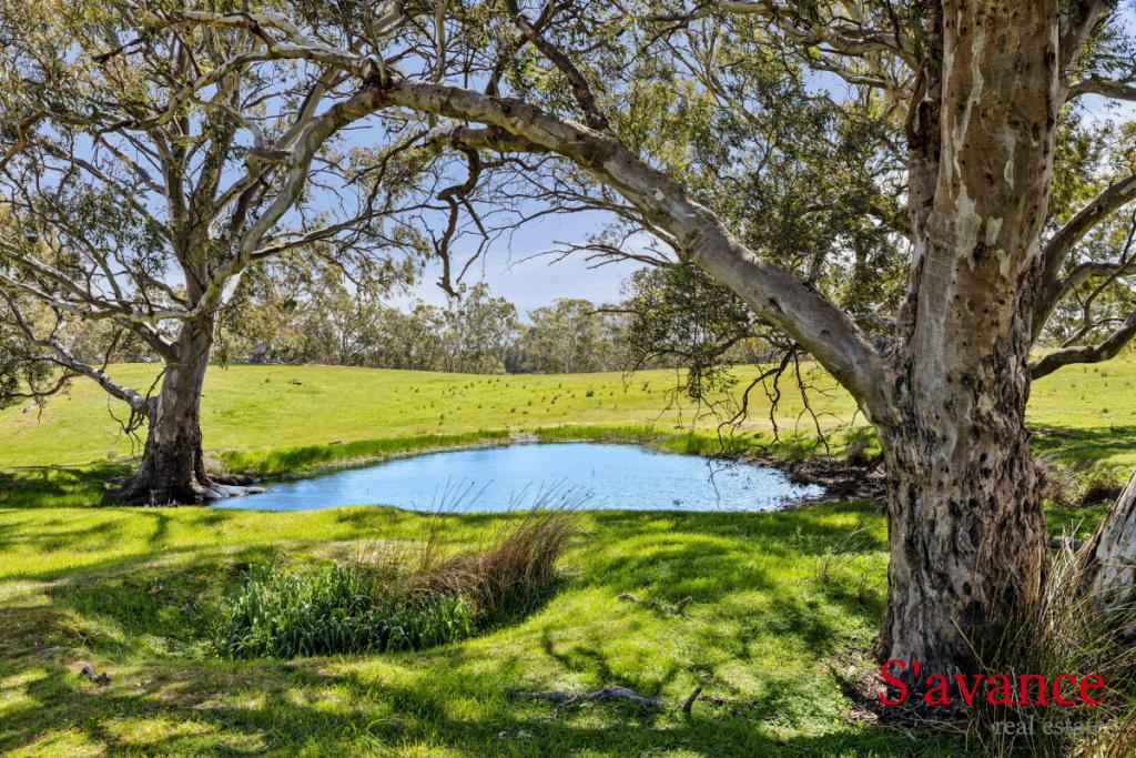 LOT 109 SEAGER RD, MOUNT PLEASANT, SA 5235
