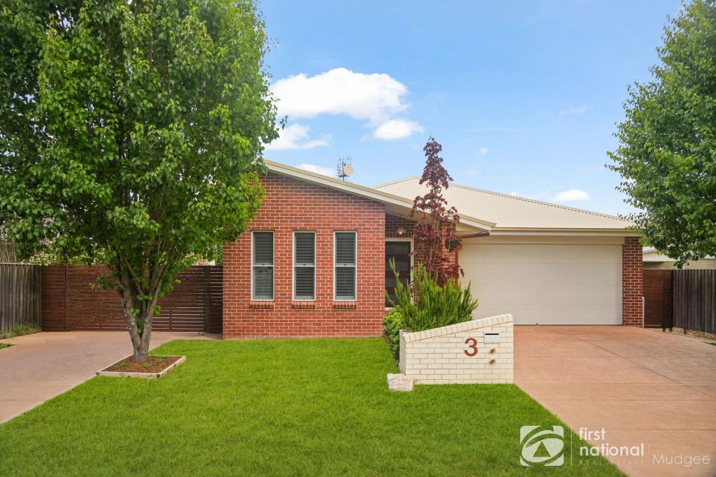 3 Costigan Ct, Mudgee, NSW 2850