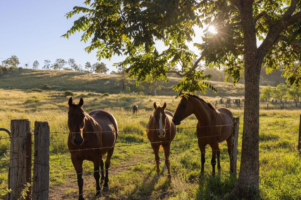 Contact agent for address, DUNDAS, QLD 4306