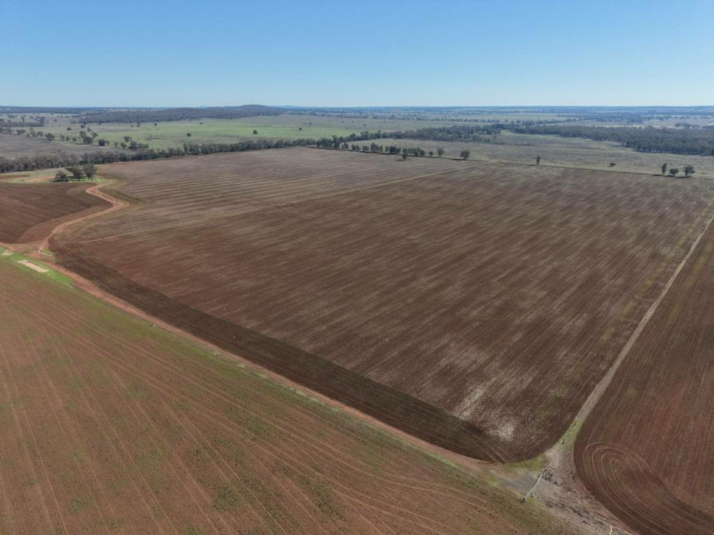 366 Mercadool Lane, Bogan Gate, NSW 2876