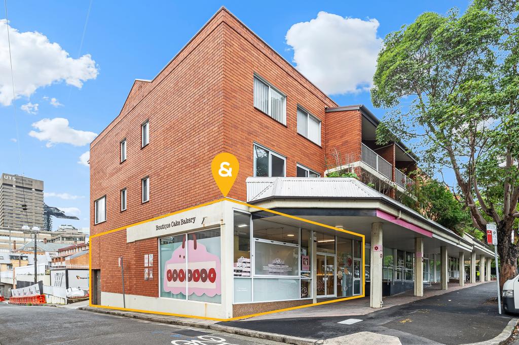 73-75 Macarthur St, Ultimo, NSW 2007