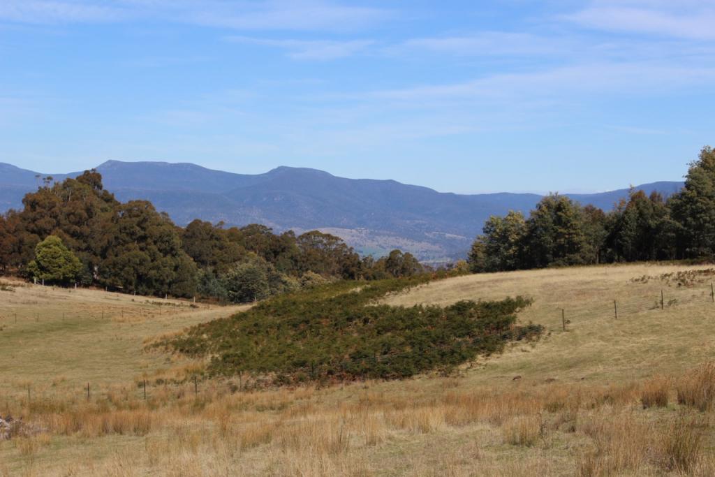 82 Grahams Rd, Black Hills, TAS 7140