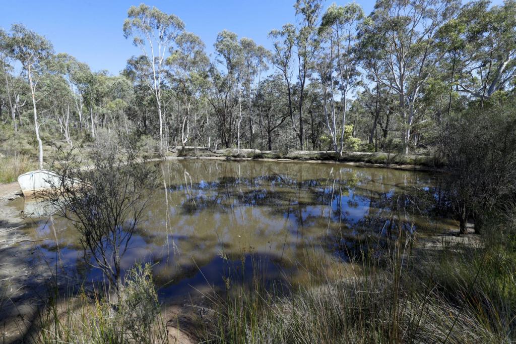 494 Jerralong Rd, Oallen, NSW 2622
