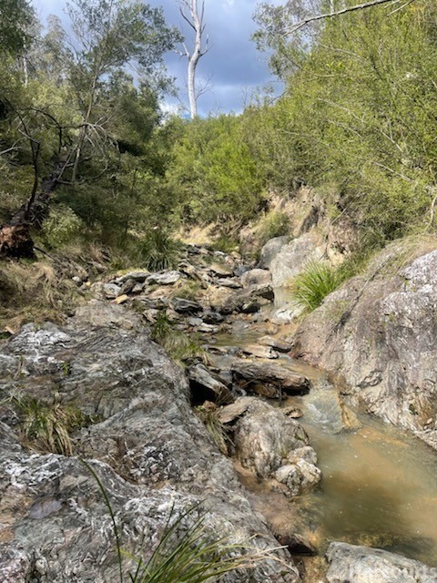 224 Blomfield Rd, Yarrowitch, NSW 2354