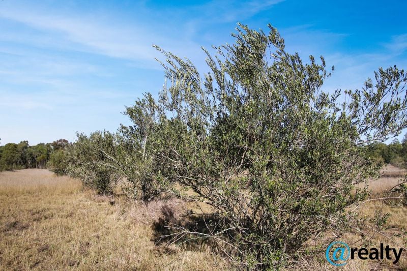 LOT 53 WOMBINEBONG DR, MILLMERRAN DOWNS, QLD 4357