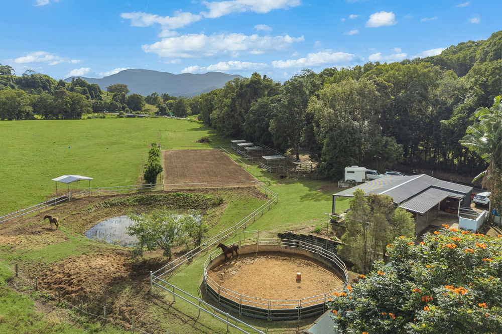 473 Numinbah Rd, Nobbys Creek, NSW 2484