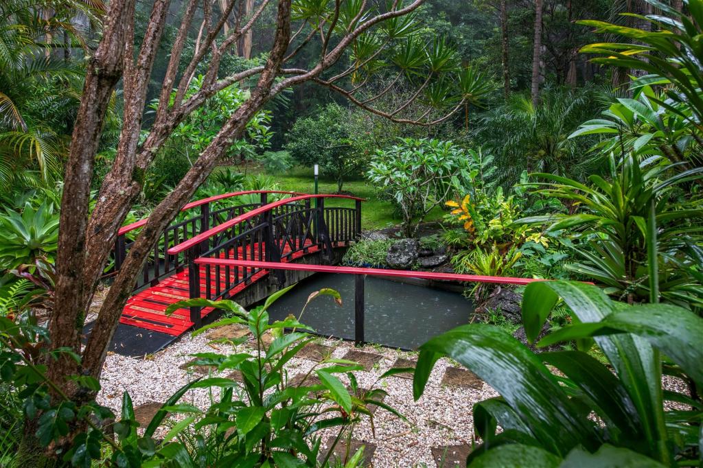 232-238 Geissmann Dr, Tamborine Mountain, QLD 4272