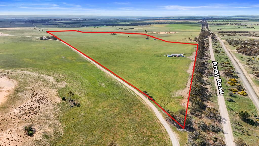 54 Army Rd, Burdett, SA 5253
