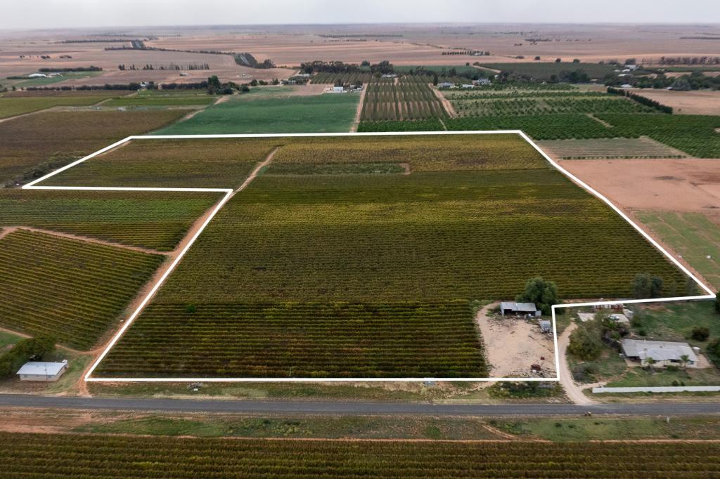 795 Drummond Ave, Loxton, SA 5333