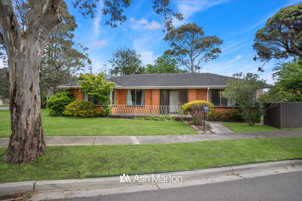24 Berberis Cres, Frankston, VIC 3199