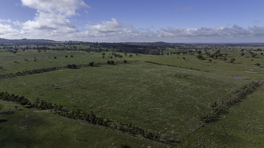133 Bellbrook East Rd, Dumaresq, NSW 2350