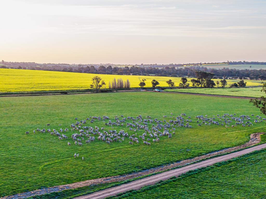 712 View Range Rd, Kendenup, WA 6323